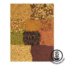 Load image into Gallery viewer, Sprouting Seed Assortment: Sprouting Seed Super Sampler