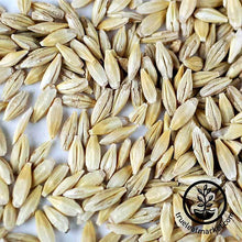 Load image into Gallery viewer, Barley - Whole (organic) - Grass Seeds