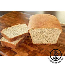 Load image into Gallery viewer, Basic Organic Biblical Bread Making Kit
