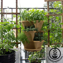 Load image into Gallery viewer, Garden Stacker Planter & Tea, Medicinal Herb Kit