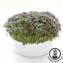 Load image into Gallery viewer, Mini Microgreens Growing Kits - Wholesale
