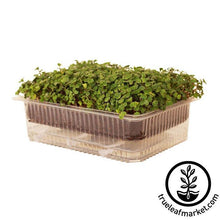 Load image into Gallery viewer, Self-Watering Growing Trays