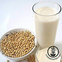Load image into Gallery viewer, Soymilk & Tofu Making Kit with 5 Lbs Soybeans