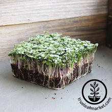 Load image into Gallery viewer, Seed Assortment: Basic Dozen Microgreens