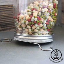 Load image into Gallery viewer, Stainless Steel Wide Mouth Sprouting Jar Lid