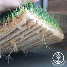 Load image into Gallery viewer, Jute Microgreens Grow Mats - 10x20
