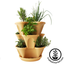 Load image into Gallery viewer, Garden Stacker Planter &amp; Tea, Medicinal Herb Kit

