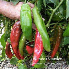 Load image into Gallery viewer, Renees Garden - Spicy Chile Garden Seed Collection
