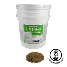 Load image into Gallery viewer, Winter Rye (organic) - Bulk Grains &amp; Foods
